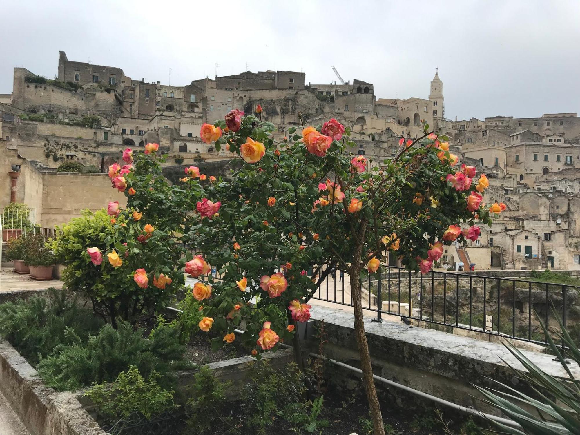 La Corte Dei Pastori Bed & Breakfast Matera Bagian luar foto